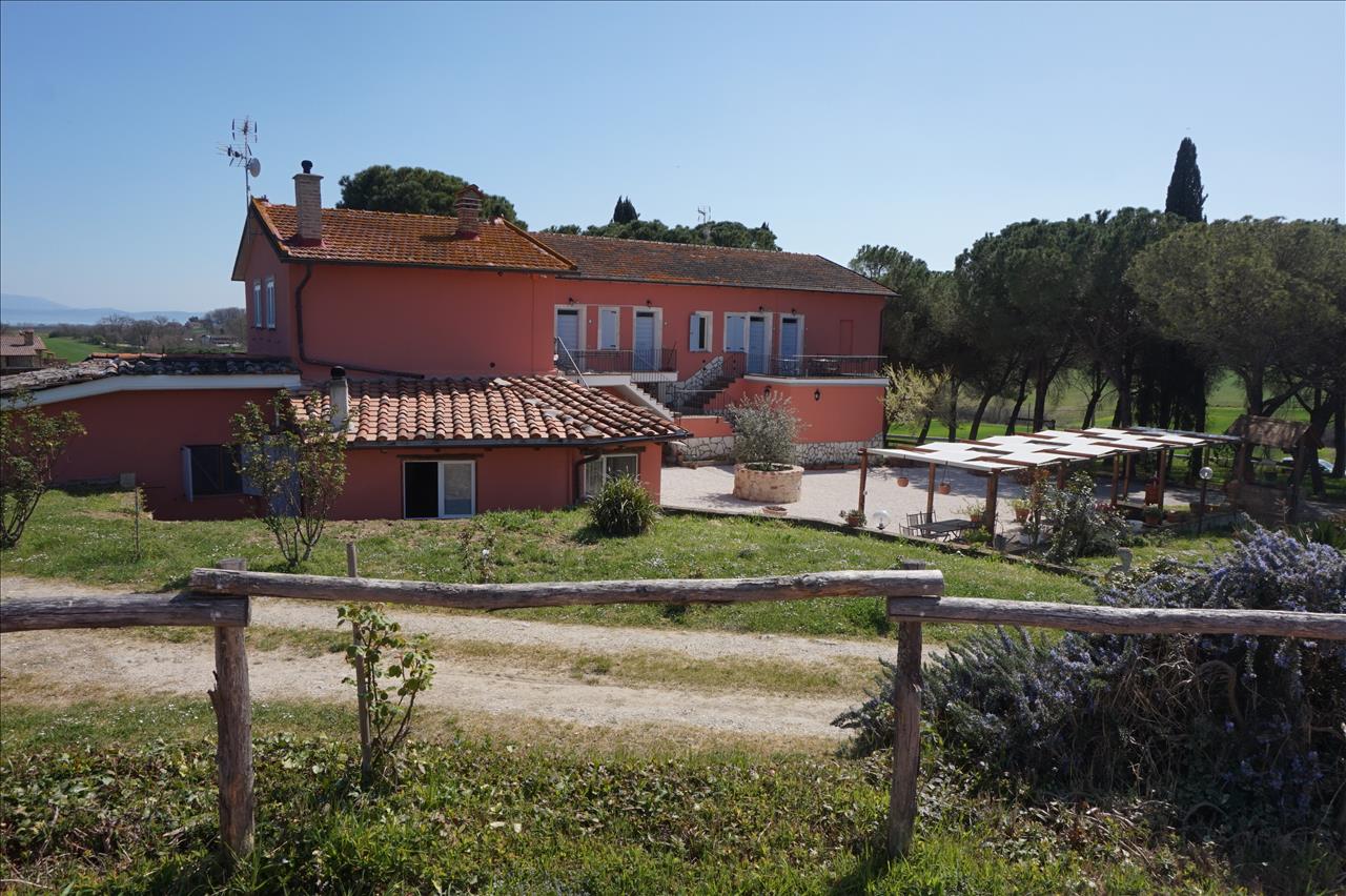 Vendita Azienda Agricola in Castiglione del Lago